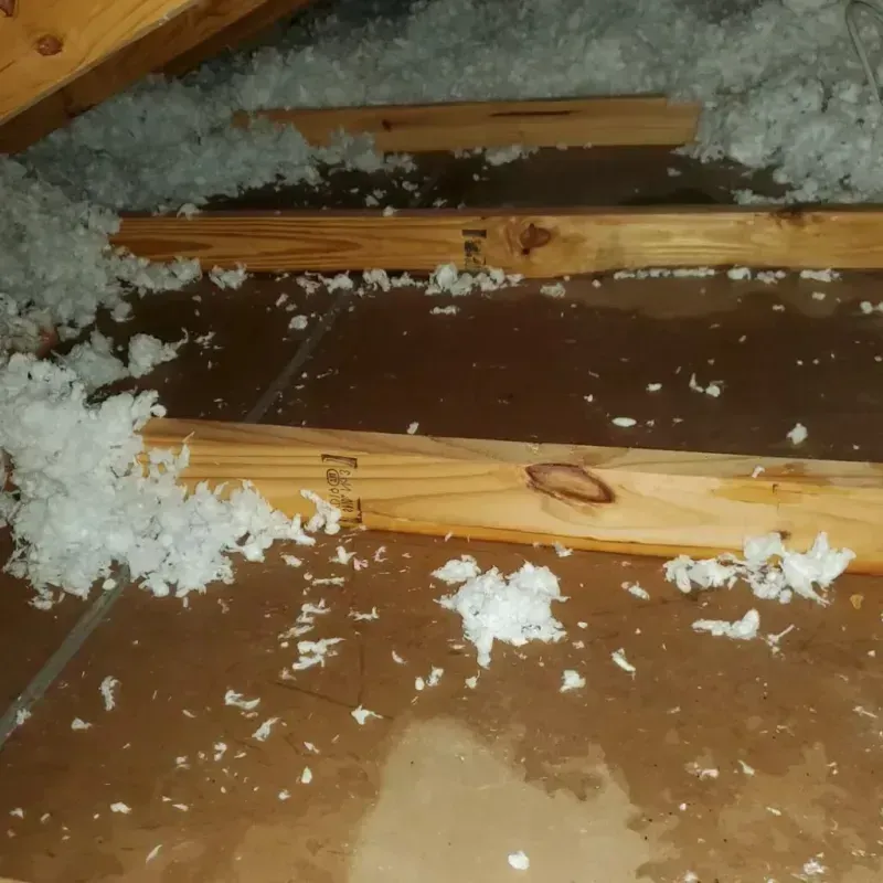 Attic Water Damage in Manteca, CA