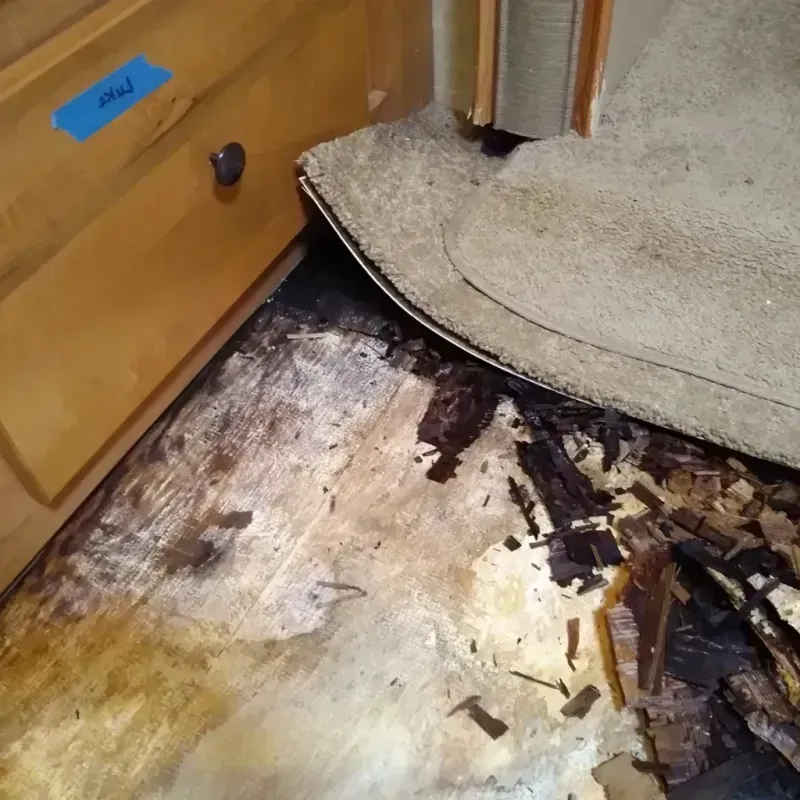 Wood Floor Water Damage in Manteca, CA